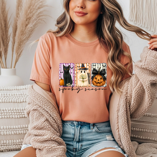 Cat, Ghost, and Pumpkin Spooky Season Comfort Colors Tee
